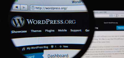 Wordpress Design and Development